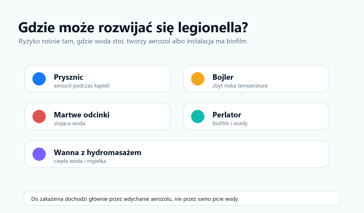Infografika pokazująca miejsca ryzyka legionelli w instalacji wodnej