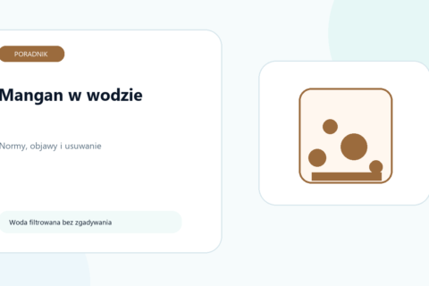 Mangan w wodzie